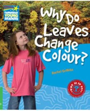 Imagem de WHY DO LEAVES CHANGE COLOUR? - LEVEL 3