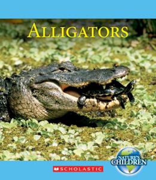 Picture of ALLIGATORS