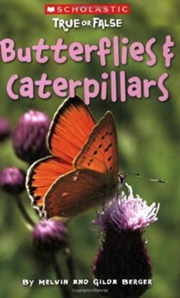 Picture of BUTTERFLIES AND CATERPILLARS