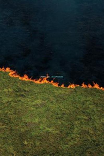 Picture of PANTANAL