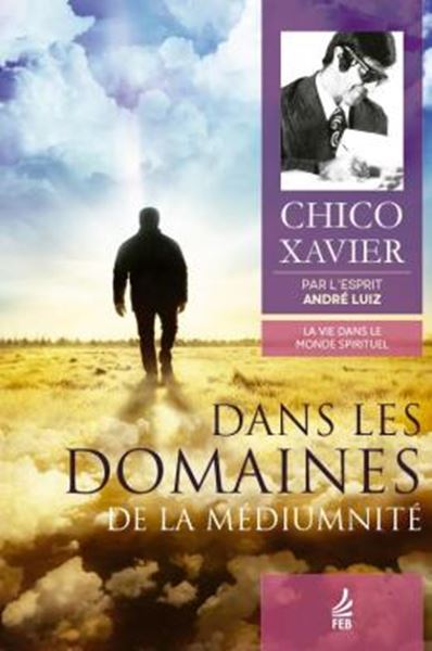Picture of DANS LES DOMAINES DE LA MEDIUMNITE (NOS DOMINIOS DA MEDIUNIDADE- FRANCES)